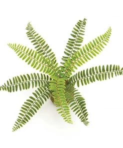 Petals And Blooms Home Decor Greenery + Floral Boston Fern On Moss Ball Wrapped With Twine