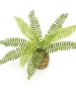 Petals And Blooms Home Decor Greenery + Floral Boston Fern On Moss Ball Wrapped With Twine