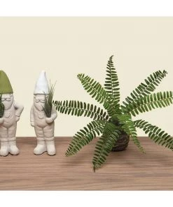 Petals And Blooms Home Decor Greenery + Floral Boston Fern On Moss Ball Wrapped With Twine