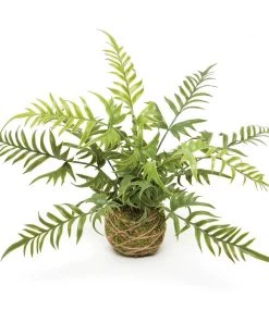 Petals And Blooms Decor Forest Fern On Moss Ball Wrapped With Twine Everyday Decor