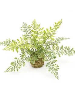 Petals And Blooms Home Decor Maiden Hair Fern On Moss Ball Wrapped With Twine Greenery + Floral