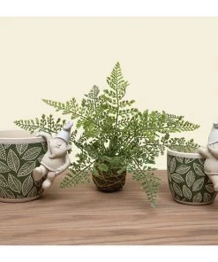 Petals And Blooms Home Decor Maiden Hair Fern On Moss Ball Wrapped With Twine Greenery + Floral