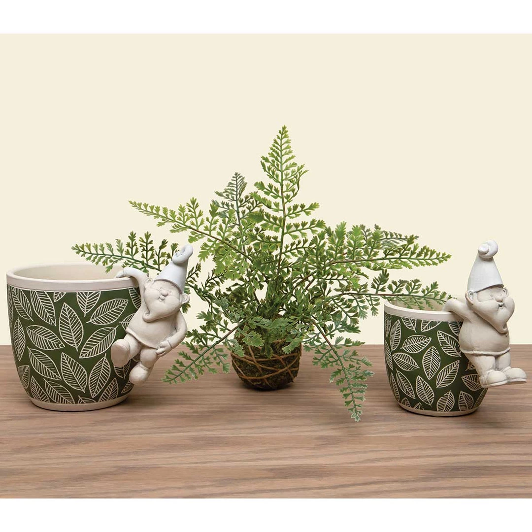 Petals And Blooms Home Decor Maiden Hair Fern On Moss Ball Wrapped With Twine Greenery + Floral 2 Petals And Blooms Home Decor Maiden Hair Fern On Moss Ball Wrapped With Twine Greenery + Floral