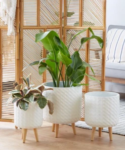 Petals And Blooms Home Decor The Surrey Clay Plant Stand | Large Vases & Pots