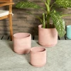 Petals And Blooms Home Decor Pink Palace Fiber Clay Planter | Small Vases & Pots