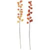 Petals And Blooms Home Decor Fall & Halloween Decor Chinese Lantern Stem | 2 Assort.