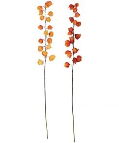 Petals And Blooms Home Decor Fall & Halloween Decor Chinese Lantern Stem | 2 Assort.