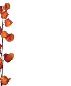 Petals And Blooms Home Decor Fall & Halloween Decor Chinese Lantern Stem | 2 Assort. 5 Petals And Blooms Home Decor Fall & Halloween Decor Chinese Lantern Stem | 2 Assort.