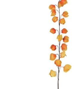 Petals And Blooms Home Decor Fall & Halloween Decor Chinese Lantern Stem | 2 Assort.