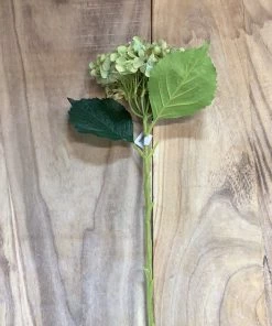 Petals And Blooms Home Decor Natural Hydrangea 20"