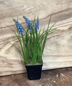 Petals And Blooms Decor Spring Flowers In Pot Assorted Everyday Decor 11 Petals And Blooms Decor Spring Flowers In Pot Assorted Everyday Decor