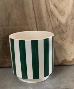 Petals And Blooms Home Decor Striped Cream & Green Pot