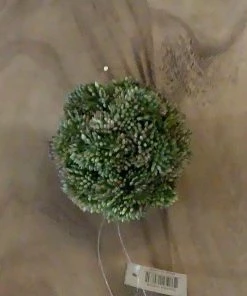 Petals And Blooms Home Decor Dark Green Sedum Ball