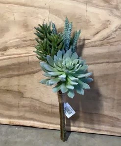 Petals And Blooms Home Decor Succulent Bundle Greenery + Floral