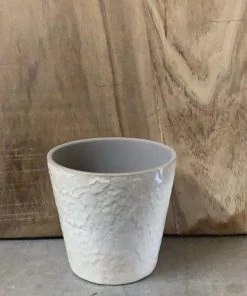 Petals And Blooms Decor Beige Floral Design Pot