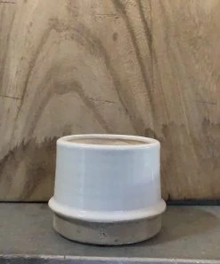 Petals And Blooms Home Decor Cream & Beige 2-Tone Ceramic Pot