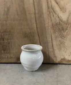 Petals And Blooms Decor Small Cream Urn Pot Vases & Pots