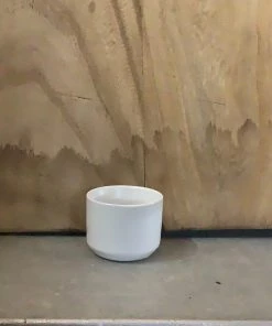 Petals And Blooms Decor Everyday Decor Matte White Pot