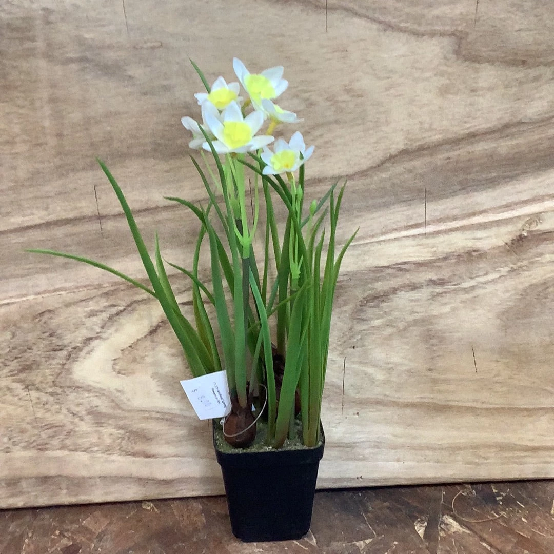 Petals And Blooms Decor Spring Flowers In Pot Assorted Everyday Decor 2 Petals And Blooms Decor Spring Flowers In Pot Assorted Everyday Decor