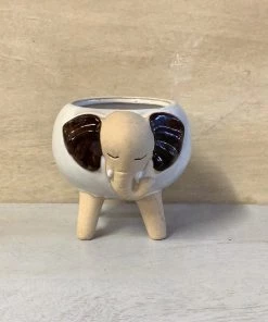 Petals And Blooms Decor Everyday Decor Elephant Pot With Legs
