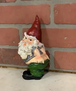 Petals And Blooms Home Decor Poly Resin Rude Gnome Gnomes
