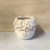 Petals And Blooms Decor Cream Floral Pot