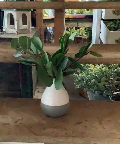 Petals And Blooms Home Decor Greenery + Floral “Real Touch” Eucalyptus Bundle