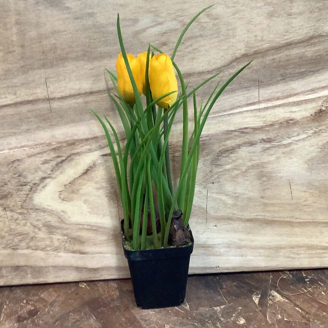 Petals And Blooms Decor Spring Flowers In Pot Assorted Everyday Decor 3 Petals And Blooms Decor Spring Flowers In Pot Assorted Everyday Decor