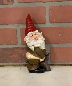 Petals And Blooms Home Decor Poly Resin Rude Gnome Gnomes