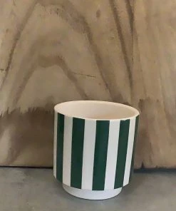Petals And Blooms Home Decor Striped Cream & Green Pot