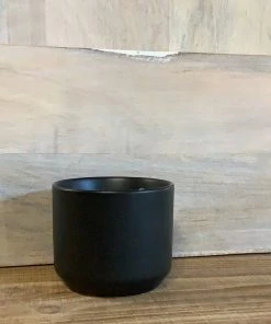 Petals And Blooms Decor Matte Black Pot | X-Small Everyday Decor