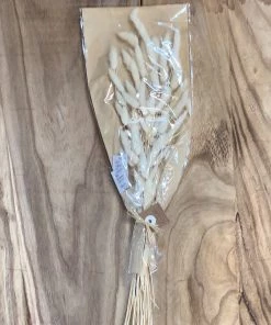 Petals And Blooms Home Decor Preserved Lagers Grass 24IN