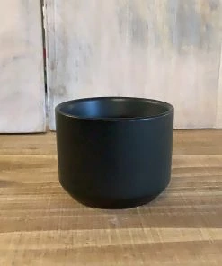 Petals And Blooms Decor Mini Matte Black Pot