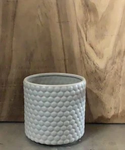 Petals And Blooms Decor Matte Grey Dot Pot