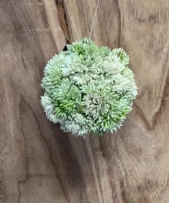 Petals And Blooms Home Decor Real Touch White & Light Green Orb