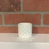 Petals And Blooms Home Decor White Pot With Grey Dots
