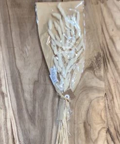 Petals And Blooms Home Decor Preserved Lagers Grass 24IN