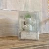 Petals And Blooms Home Decor Mini Boy Planter Vases & Pots