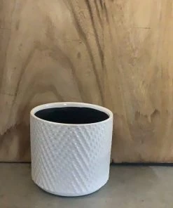 Petals And Blooms Decor Small White Pot With Chevron Pattern Everyday Decor