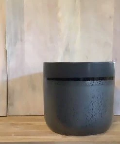 Petals And Blooms Home Decor Vases & Pots Glossy Black Pot/ Matte Top Pot