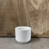 Petals And Blooms Decor Everyday Decor Matte White Pot