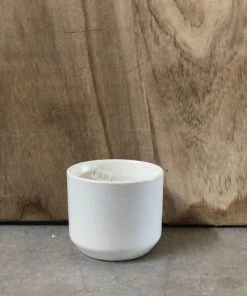 Petals And Blooms Decor Everyday Decor Matte White Pot