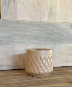 Petals And Blooms Decor Small Light Peach Scalloped Ceramic Pot