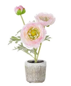 Petals And Blooms Decor Everyday Decor Potted Pink Ranunculus